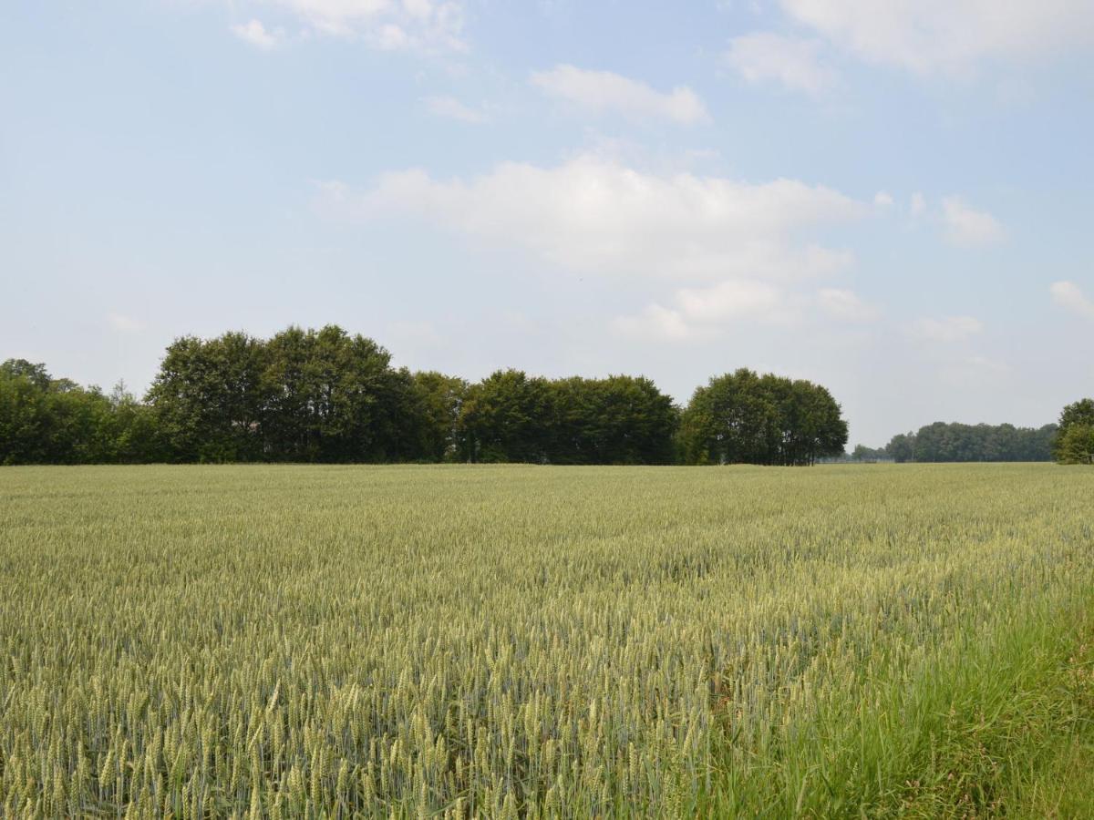 Monumental Farm In The Ash Landscape Villa Geesteren  Luaran gambar