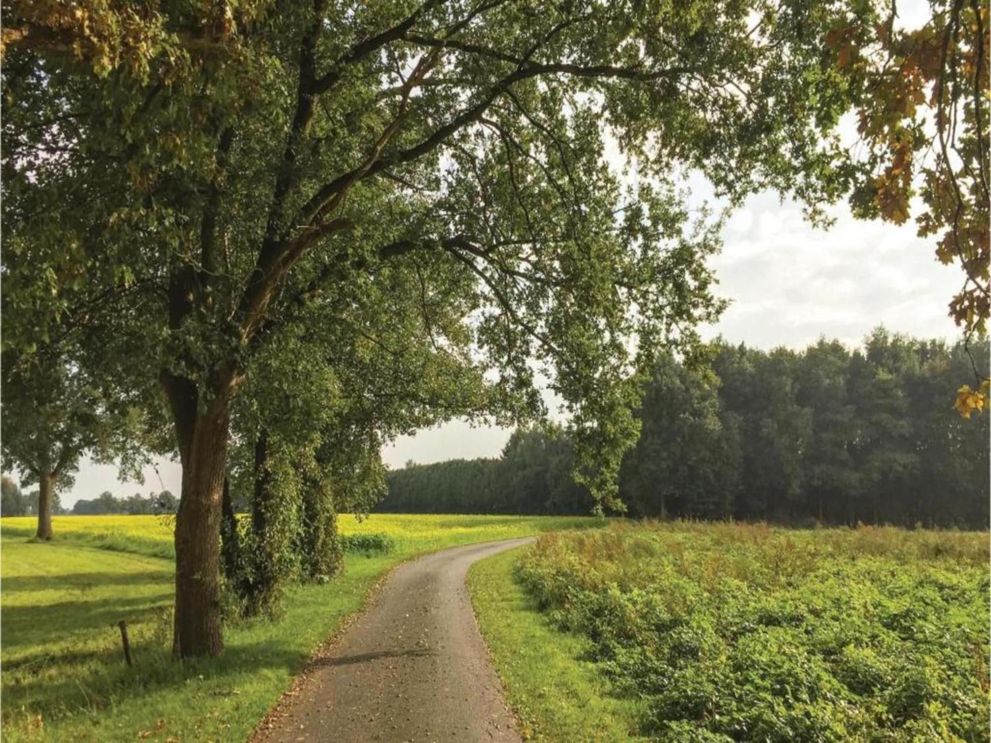 Monumental Farm In The Ash Landscape Villa Geesteren  Luaran gambar