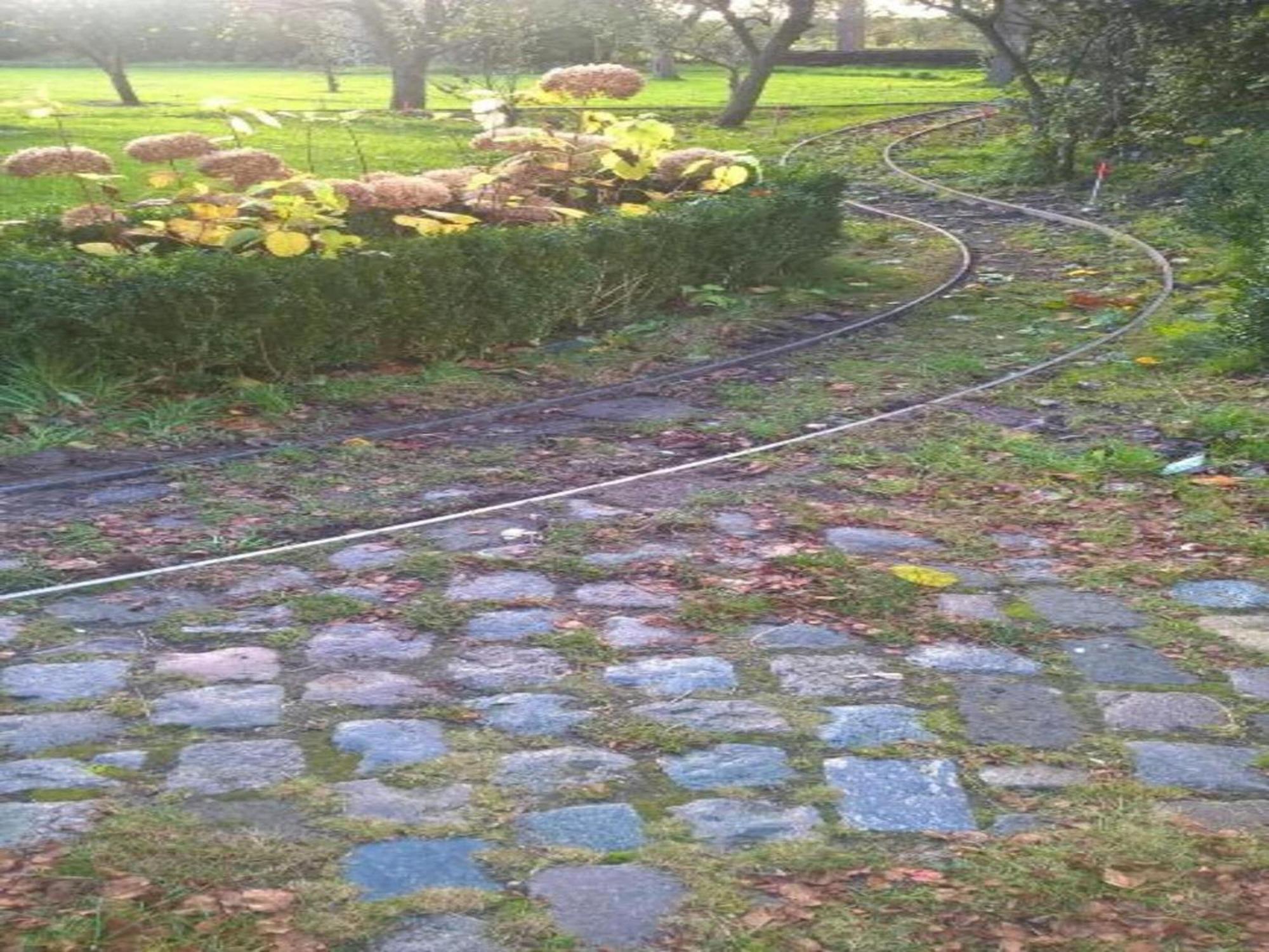 Monumental Farm In The Ash Landscape Villa Geesteren  Luaran gambar